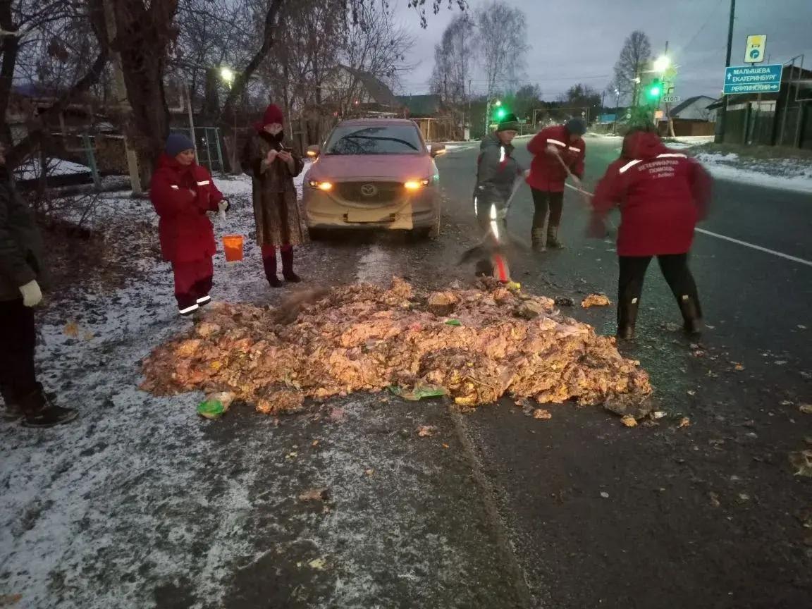 В Асбесте дорогу усыпали тушками кур