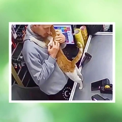 Кошка-обнимашка, дружелюбная сойка и другие: добрые новости о животных, которые радовали нашу редакцию на этой неделе