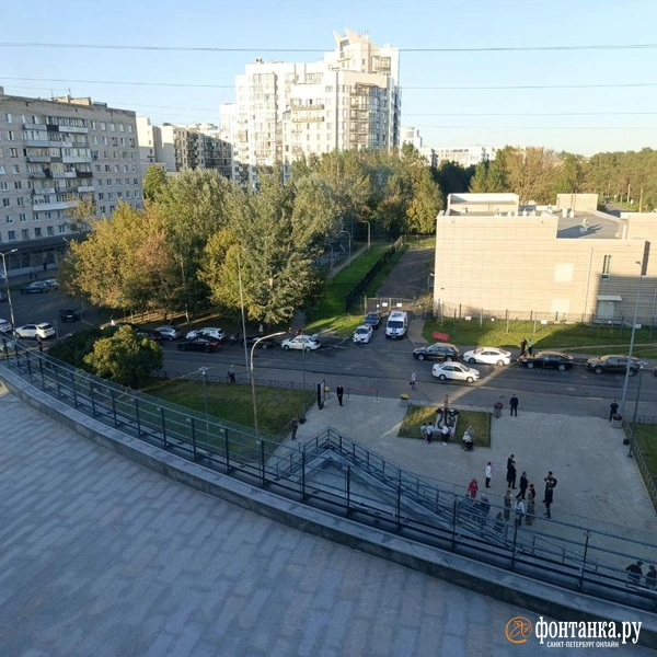 Источник: Алина Циопа / «Фонтанка.ру»