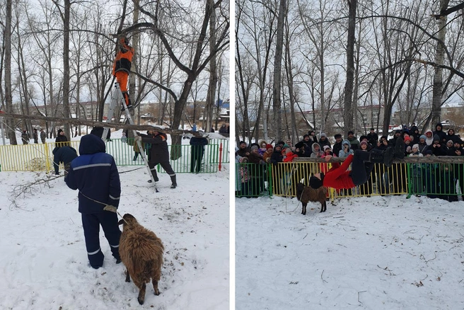 Источник: Алёна Кисель