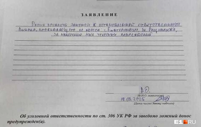 Александр написал заявление на Андрея после нападения | Источник: читатель E1.RU