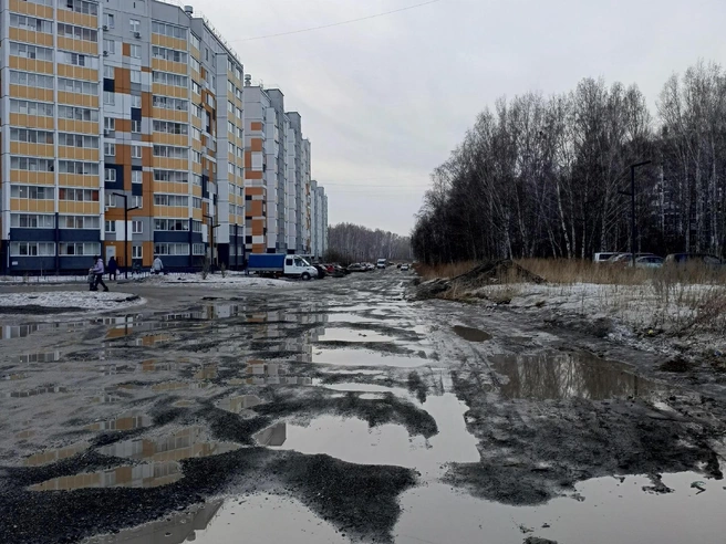 Такое состояние дороги было зафиксировано в апреле 2025 года | Источник: читатель 74.RU