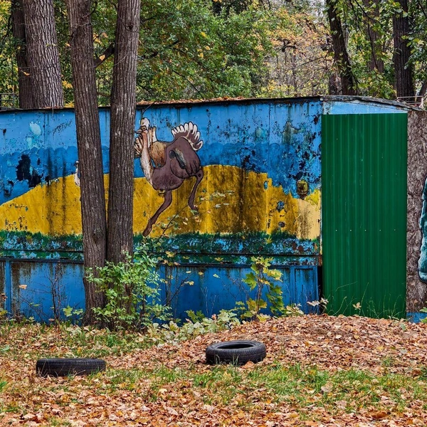 Источник: Булат Салихов / UFA1.RU