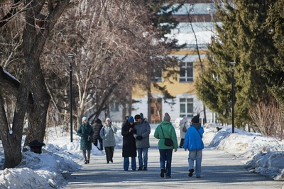 Novosibirsk to See Warming After Frosts, with Lows of -5°C