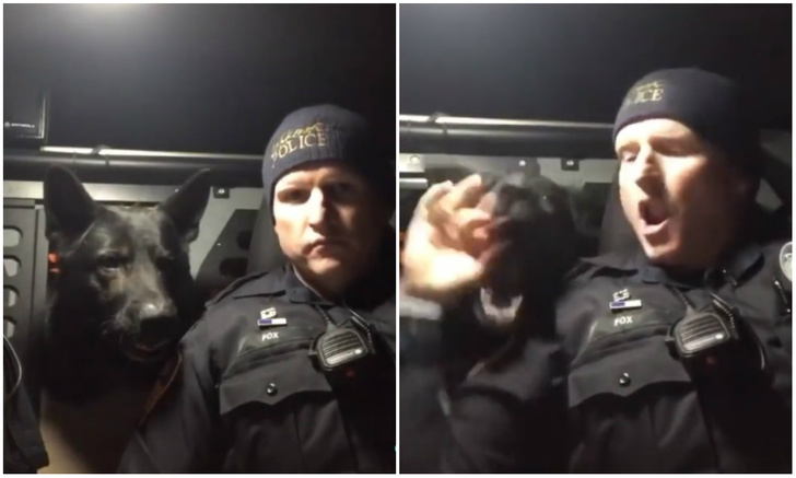 Видео с полицейским, который говорит с овчаркой «по-собачьи», набрало почти 2 миллиона лайков