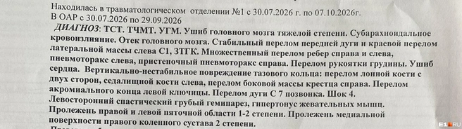 У девушки диагностировали тяжелые травмы головы и множественные переломы | Источник:  Индира Браун