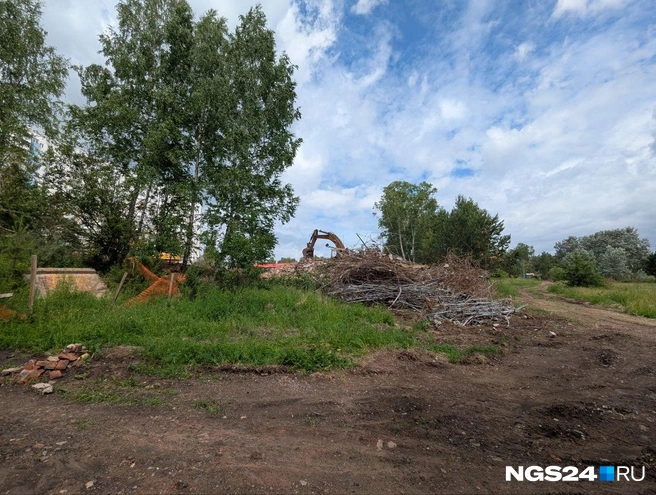 Участок занимает 3,6 гектара | Источник: Мария Ленц / NGS24.RU