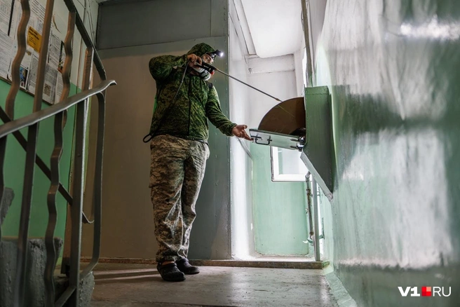 Тараканы мутируют и приспосабливаются к самым разным ядам. Задача коммунальщиков — найти новые эффективные средства | Источник: Алексей Волхонский / V1.RU