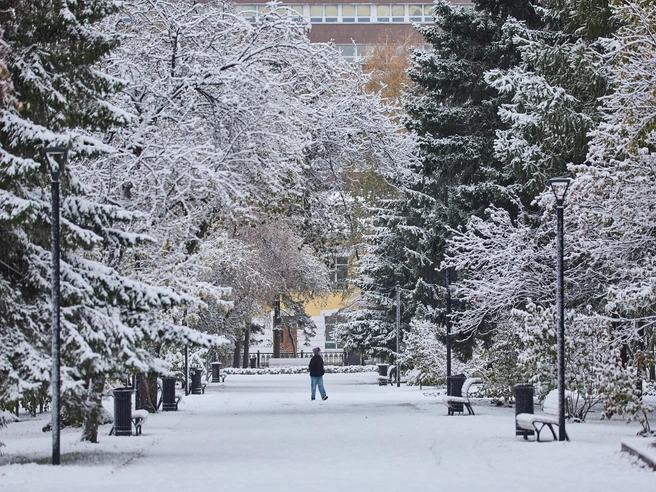 Дороги и газоны оказались укутаны плотным слоем снега, осенняя листва скрыта под белым покровом. | Источник: Александр Ощепков / NGS.RU