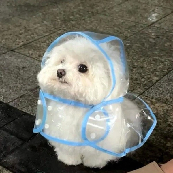 Источник: соцсети