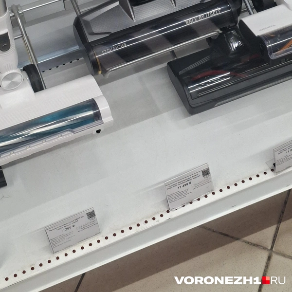 Источник: Алёна Воропаева / Voronezh1.ru