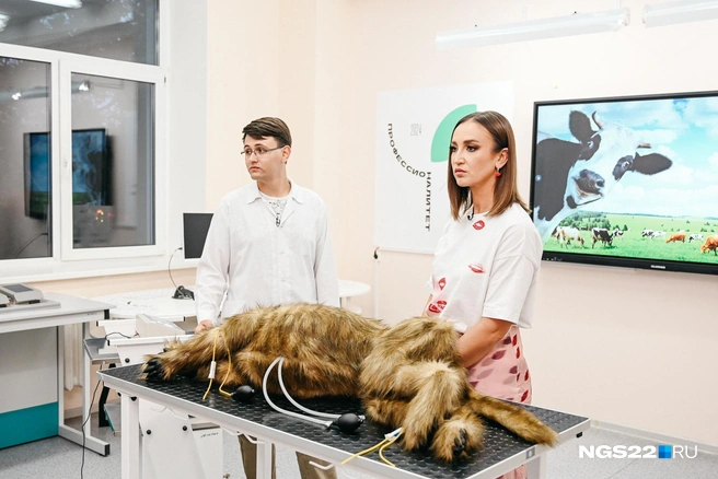 Ольга послушала легкие собаки с помощью фонендоскопа | Источник: Ирина Пергаева