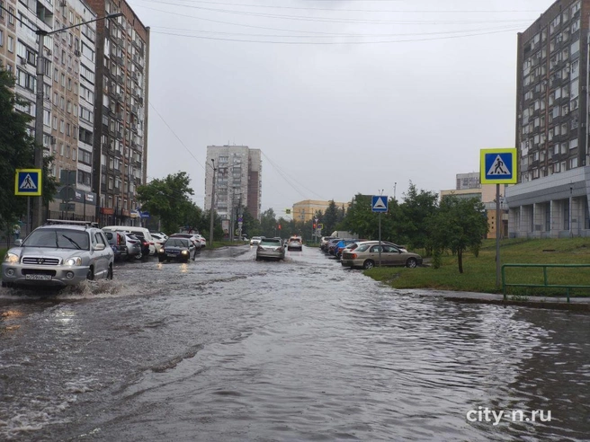 Источник: www.city-n.ru