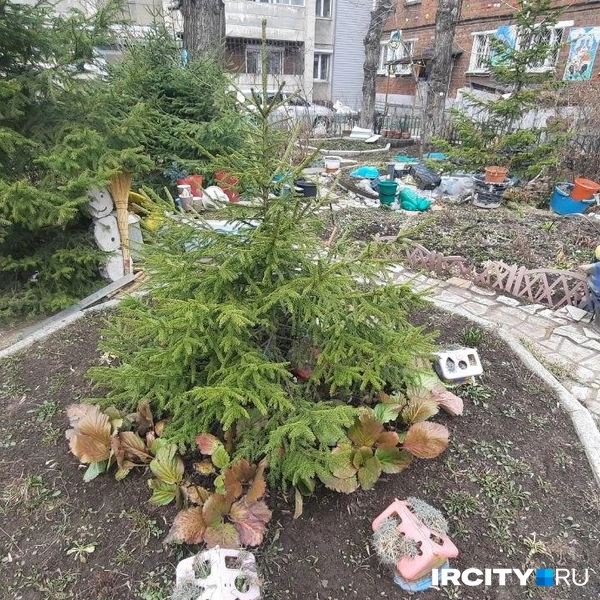 Источник: Виктор Лучкин / «ИрСити»