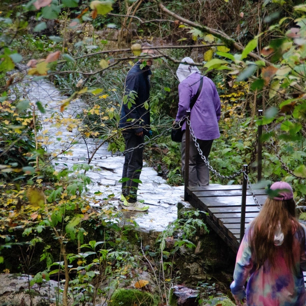 Посетителей много, несмотря на межсезонье | Источник: Оксана Витязь / SOCHI1.RU