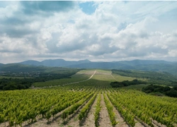 Фестиваль «О, да! Еда!» пройдет в Абрау-Дюрсо