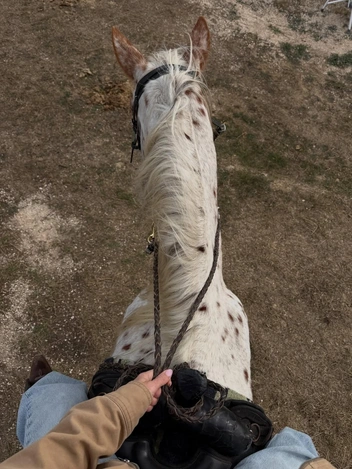 От падела до конного спорта: как хобби заменяют аксессуары в 2026 От падела до конного спорта: как хобби заменяют аксессуары в 2026