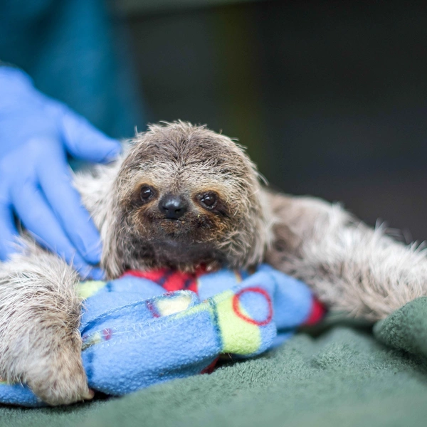 Источник: SAM TRULL / CATERS NEWS via Legion Media