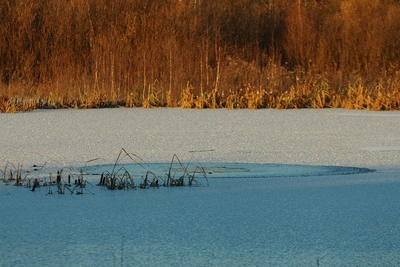 В уральском водохранилище нашли тело пенсионера