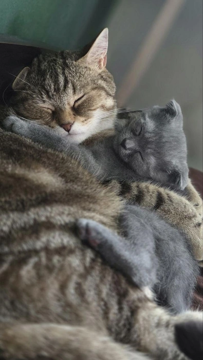 Источник: Татьяна Косова