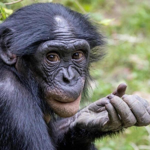 Источник: Соцсети