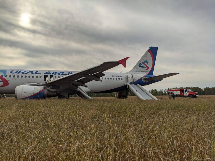 Подал сигнал тревоги и пропал с радаров: что произошло с самолетом со 170 людьми после вылета из Сочи