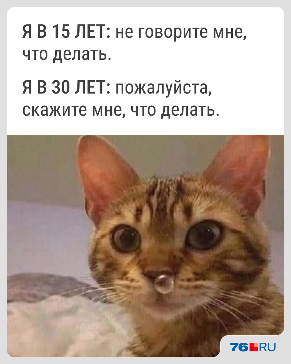 И поподробнее | Источник: Городские медиа