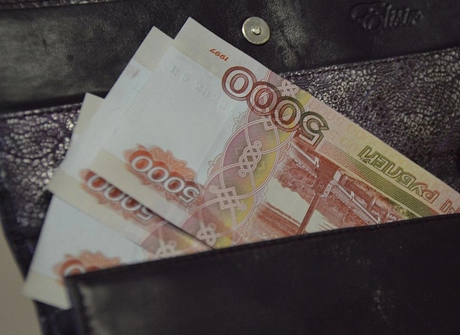 В РФ планируют проиндексировать на 7,4% более 40 выплат и компенсаций с 1 февраля | ya62.ru