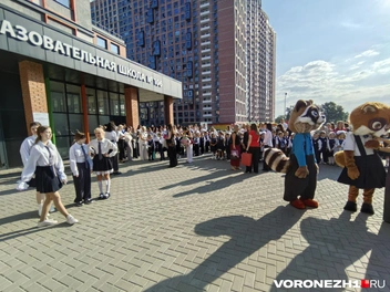 Источник: Андрей Пашинский / Voronezh1.ru