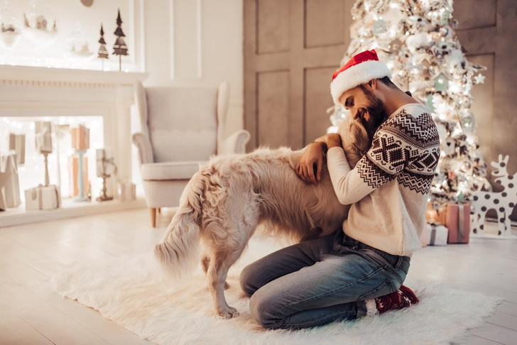 Как помочь домашним животным справиться со стрессом от Нового года