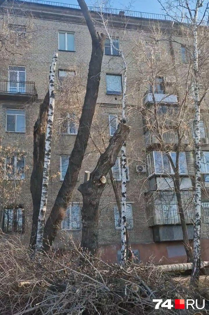 Переулок расположен вдоль автодороги Меридиан, недалеко от центра Челябинска | Источник: читатель 74.RU