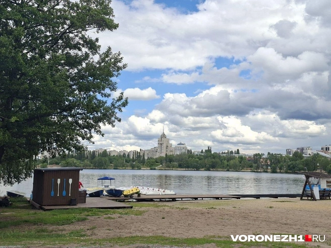 Участник СВО пожаловался прокурору области на свалку в воронежском парке «Алые паруса» | Источник: Алёна Воропаева / Voronezh1.ru