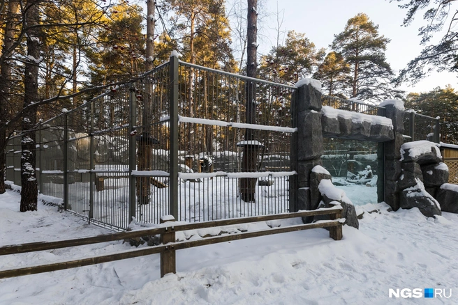 Новые вольеры частично застеклены | Источник: Ольга Бурлакова