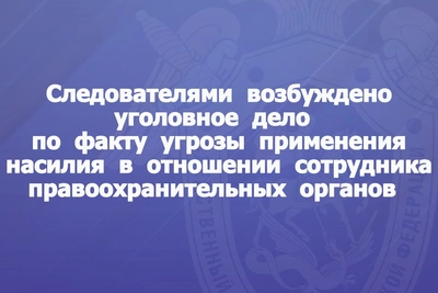 Уголовное дело за угрозу полицейскому в Томари