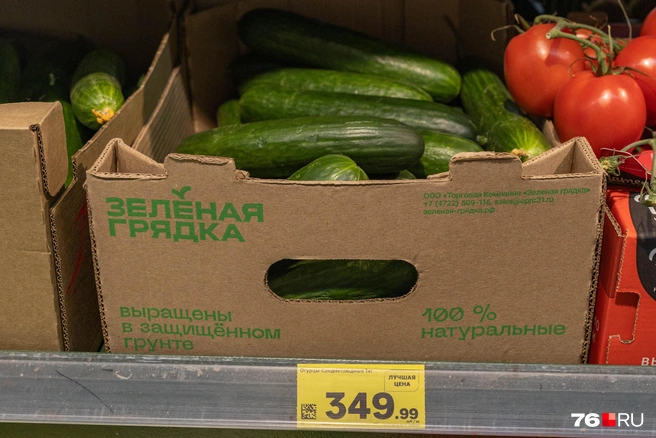 Среднеплодные огурцы стоят дешевле&nbsp;— 349 рублей за килограмм | Источник: Артем Бауман / 76.RU