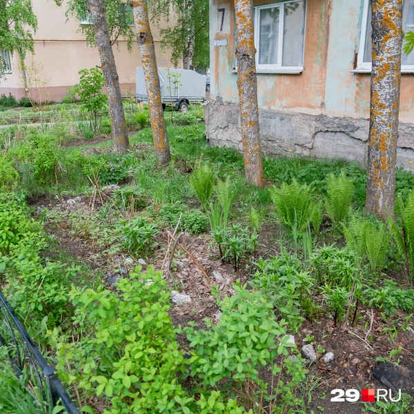 Источник: Иван Митюшёв / 29.RU