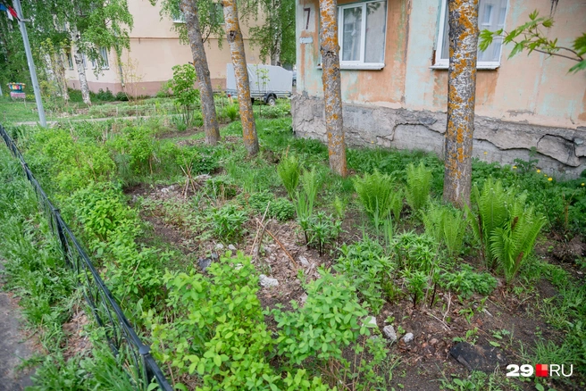 Источник: Иван Митюшёв / 29.RU