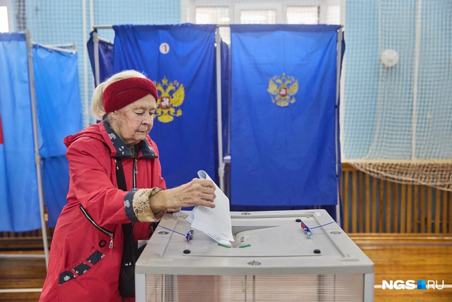 В крае было 15 избирательных кампаний | Источник: Александр Ощепков / NGS.RU