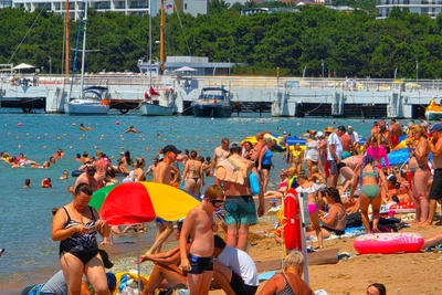 На пляжах Черного моря заметили «водоросли с рисом»