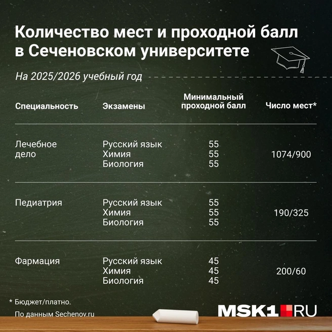 Источник: Полина Авдошина / Городские медиа