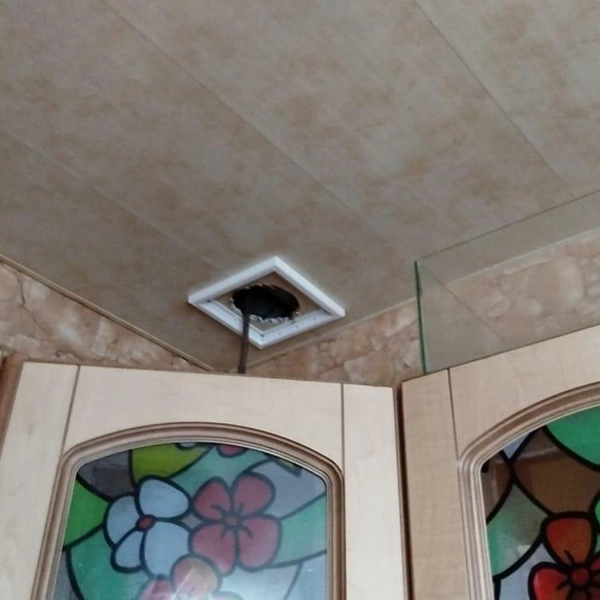 В Гатчине спасатели четыре часа вытаскивали галку из вентиляции | Источник: КОШКИСПАС. Спасение животных