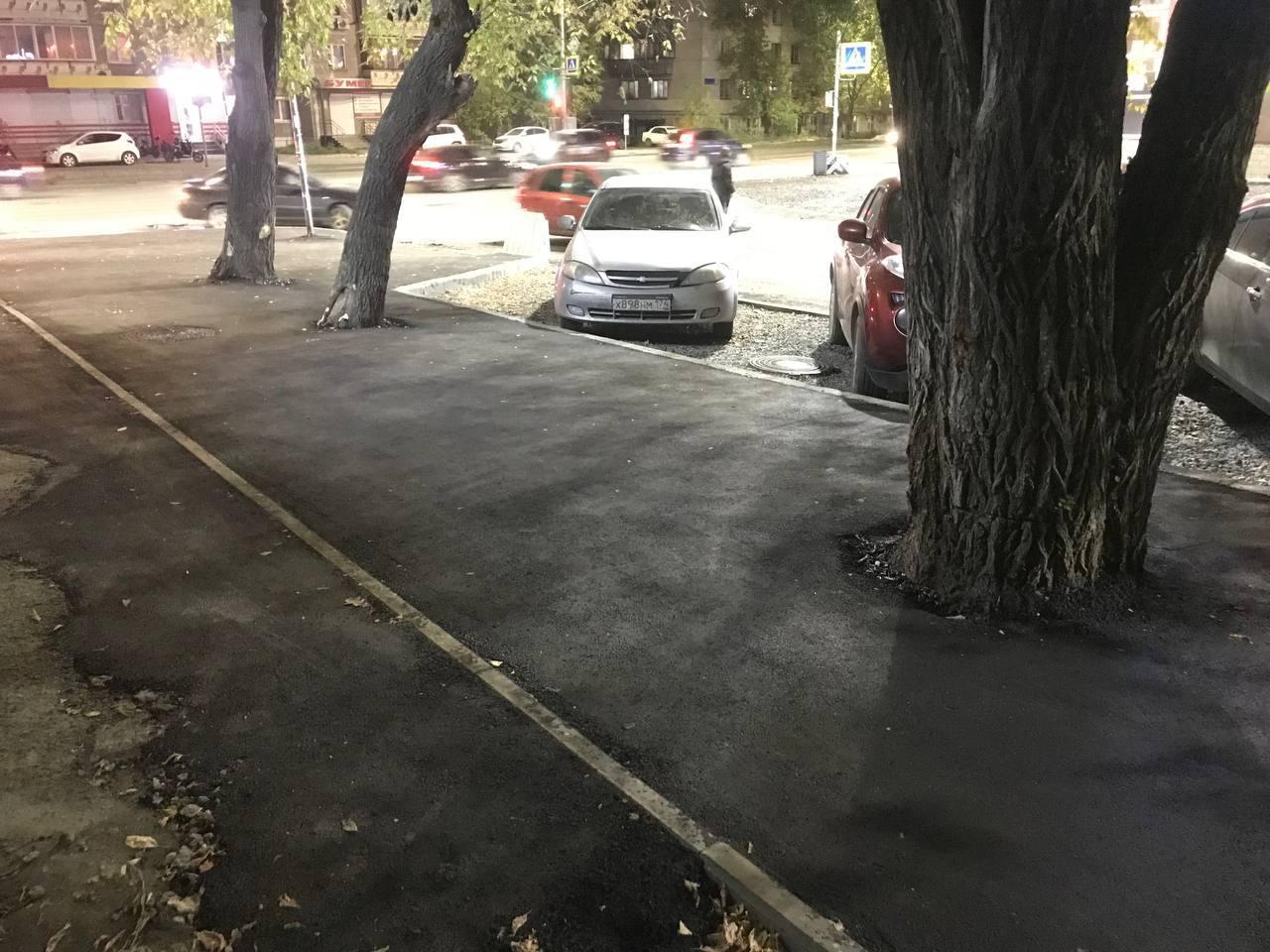 «Через год засохнут»: в Советском районе дорожники закатали в асфальт деревья