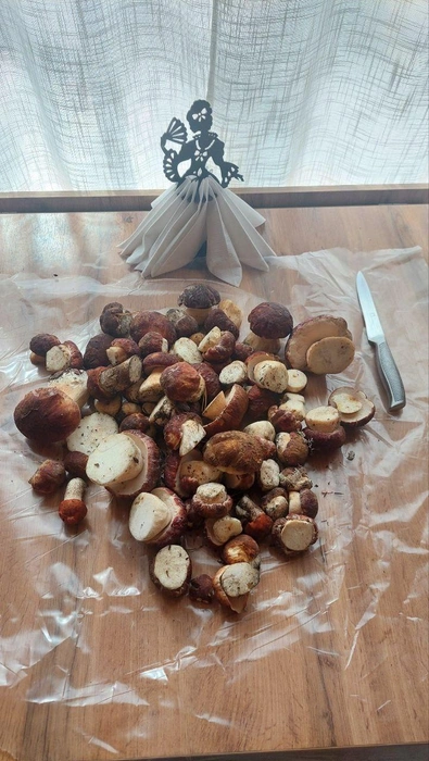 Андрей собрал грибы возле дачи | Источник: Грибной воин ХМАО / T.me