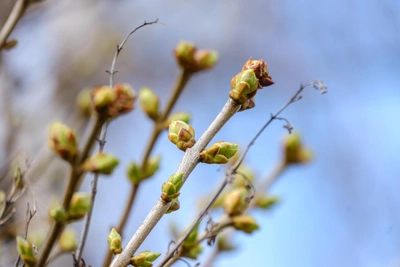 Башгидрометцентр сообщил о погоде в Уфе на ближайшие дни