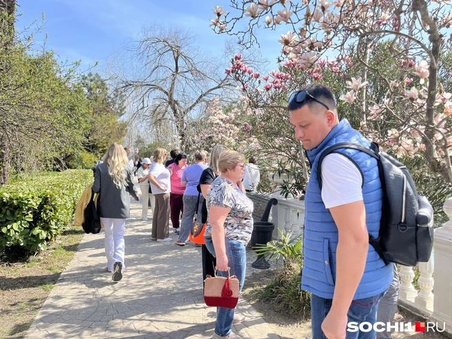 Все хотят красивые фото с магнолией на фоне пруда  | Источник: Анна Грицевич / SOCHI1.RU