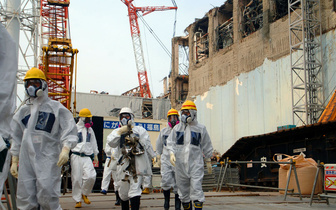 Зона аварии на «Фукусиме» признана безопасной