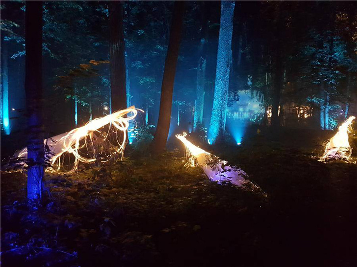 Фестиваль световых инсталляций "Вдохновение" 2017 на ВДНХ