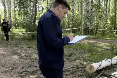 В Чайковском возбуждено дело из-за гибели девочки от упавшего дерева