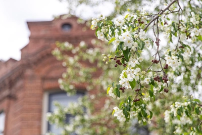 Что нельзя делать 19 апреля по народным приметам