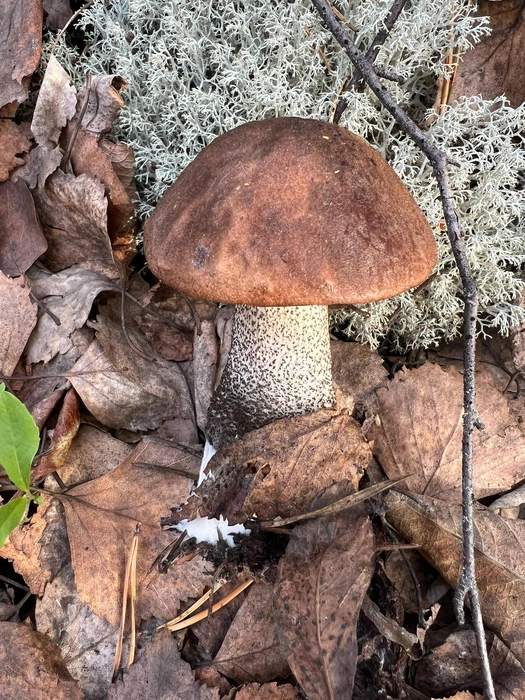 Источник: Наталия Петрунина